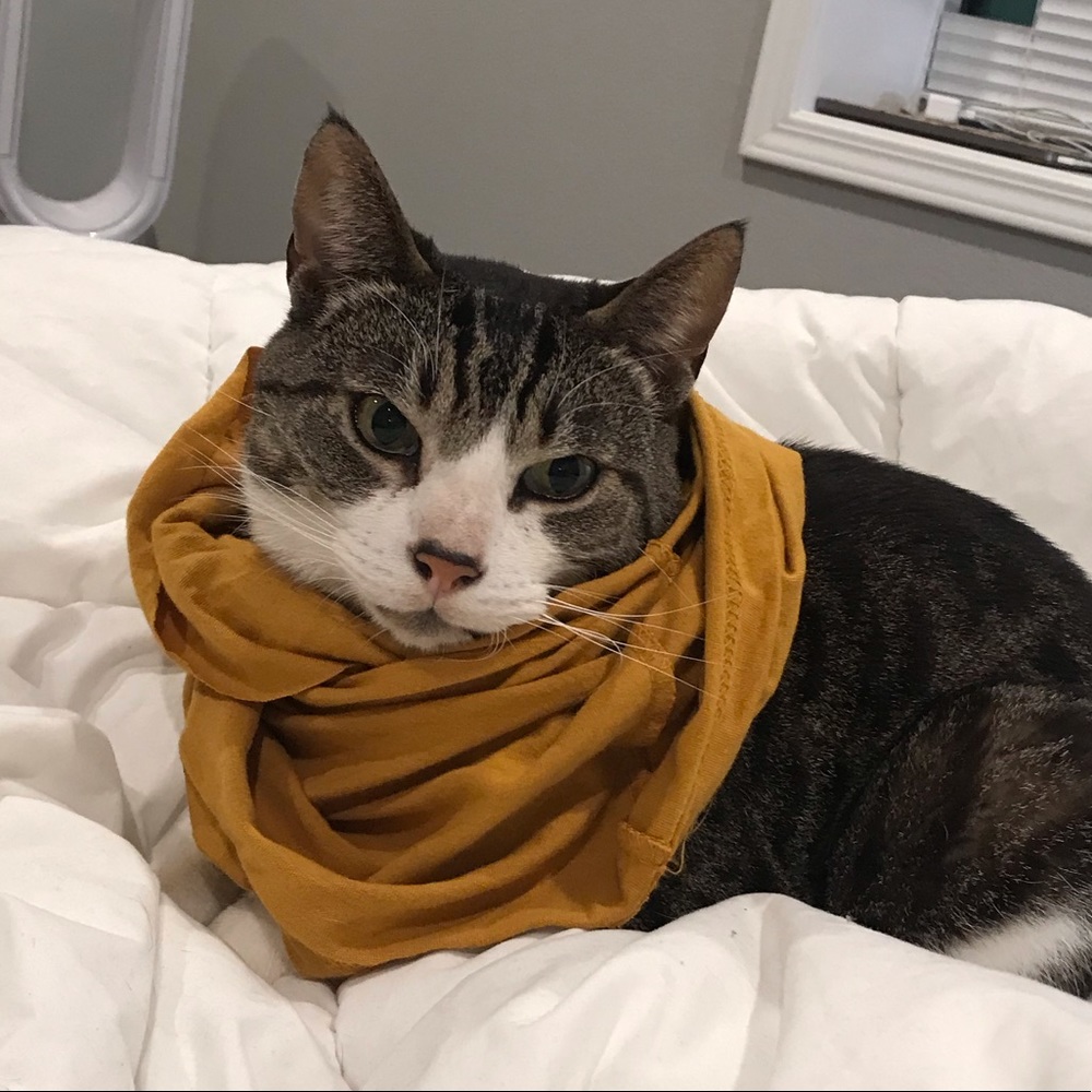 Meet your Posher, Zachary